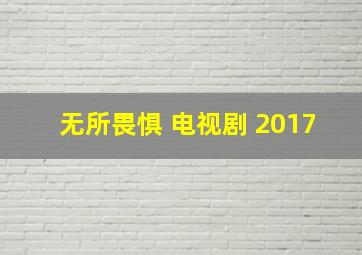 无所畏惧 电视剧 2017